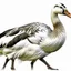 Placeholder: goose png