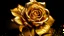 Placeholder: golden rose