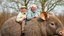 Placeholder: Elderly pensioners riding an enormous dormouse. Everyone is happy. Photographic quality and detail, award-winning image, beautiful composition.