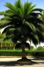 Placeholder: date tree