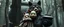 Placeholder: bad hairy chest wolf carrying a lovely scared wtf are you up to, Korean pig girl with dress under his arms, big cauldron in the background in the style of fallout 4, in black forest