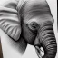 Placeholder: Realistic elephant head sketch