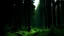 Placeholder: зелёный лес