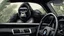Placeholder: Gorilla wearing thick glasses driving a BMW. Illustration.
