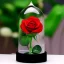 Placeholder: transparent multicolor crystal rose