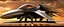 Placeholder: A digital photograph of a spider fly stealth-fighter-jet hybrid with psionic abilities, 8 eyes, layered, 64k, anatomically correct, 3d, organic surrealism