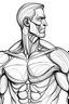 Placeholder: massage, upperbody, muscle, line drwing