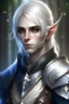 Placeholder: male elf with white hair and blue eyes knight