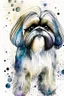 Placeholder: Abstract wet watercolour of a Shih tzu ink lines, interlinked circles,detailed focus on eyes