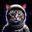 Placeholder: outer space cat