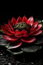 Placeholder: black red lotus flower