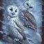 Placeholder: snow OWL