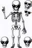 Placeholder: skeleton whit cool sunglasses, GG emotes, sprite sheet