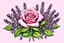 Placeholder: An illustration rose mix with provence lavender for illustration detergent pop up book