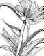 Placeholder: real massive Bird of Paradise flower coloring page