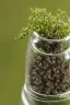 Placeholder: Thyme growing in a bottle beautiful liv tyler, realistic and natural, detailed full-color , nature, HD photography, Galen Rowell, David Muench, perfect composition, gloss, hyperrealism