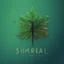 Placeholder: i want you to generate a logo for a new company named "SpiniLeaf" or Spinny Leaf. Something resembeling a spinning leaf