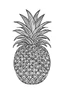 Placeholder: pineapple minimalistic, line art, background, vector, svg, coloring page, black outline on white background