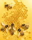 Placeholder: bees flutter over the hive, behind there is a honey yellow background and honeycombs