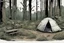Placeholder: campsite, tents, overgrown, post-apocalyptic, comic book, forest