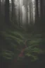Placeholder: forest