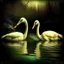 Placeholder: two swans in a romantic lake, dark green and warm yellow color, fantasy atmosphere