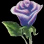 Placeholder: purple flower