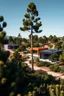 Placeholder: A futuristic high-tech village in Spain with only 3 single-story flat-roofed houses and lots of pine trees. Competitive development project in the style of the architectural firm Foster and Partners. One house is purple, one is orange and one is black. Midday, dark botanical, lush decorative vegetation. Telephoto lens. Photorealistic