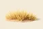 Placeholder: Isolated concept art of stylized alien dry grass on a plain neutral background. Simple low-poly design with minimal details, suitable for 3D modeling. The grass should look slightly alien — with unusual blade shapes, subtle color variations, and dry, brittle texture. Colors range from dusty yellow, ochre, muted green, and pale orange, blending naturally with desert or rocky terrain. No background, no shadows, clear separation of each grass clump, consistent lighting. Digital painting style