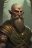 Placeholder: Male, Druid, Goliath, Bald, no beard