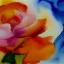 Placeholder: watercolor of a peony, warm colors, water color streaks and splashes, minimalist, in the style of turner, white space