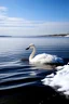 Placeholder: Sea witn snow and swan