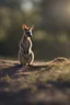 Placeholder: a wallaby who is training to nuke the world, bokeh like f/0.8, tilt-shift lens 8k, high detail, smooth render, down-light, unreal engine, prize winning