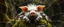 Placeholder: the high speed magical face of a fluffy pig spider yoga with charm in web from mossy tower, master oil painting by Rembrandt and Escher, in his moss covered space ship , brightened edges to give a sense of depth, motion blur