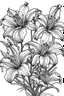 Placeholder: Outline art for coloring page, LILIES WITH STEMS, coloring page, white background, Sketch style, only use outline, clean line art, white background, no shadows, no shading, no color, clear