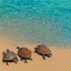 Placeholder: happy turtles, ocean, beach with trees, bright sun