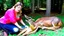 Placeholder: lady doing CPR on deer