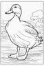 Placeholder: coloring page for kids, DUCK, thick outline, low details, no shading, no color