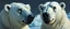 Placeholder: close up martian ice bears with make up painted by Rembrandt