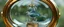Placeholder: sweet magical bird using a machine as a house, the machine is glass and bronze, rounded elliptical cylinder