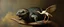 Placeholder: master oil painting by Rembrandt, creature from before the dinosaur alien seal gremlin munchin on a stork