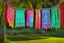 Placeholder: Beautiful lace pants of different colours drying on a clothesline in a flower garden, centre, bold colours elegant fantasy 8k beautiful dynamic lighting award winning imperial colors hyperrealistic ultra detailed 4K 3D high definition crisp quality colourful hdr, backlit, in sunshine