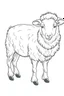 Placeholder: outline art for Lamb (Sheep) coloring pages with sitch, white background, Sketch style, full body, only use outline, toddlers style, clean line art, white background, no shadows and clear and well outlined.