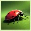 Placeholder: Ladybug on nature, ultra realistic, ultra highly detailed, shiny, smooth, studio quality, octane render, ambient lighting, polaroid,--ar 1:1 --v4