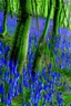 Placeholder: Twisted bluebells