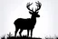 Placeholder: silhouette of a male deer, black on white, vector clipart