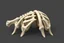 Placeholder: stiffened rib, huge, 3d asset, full length