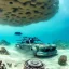 Placeholder: lost underwater city, Poseidon, highly detailed, cinematic, ultra photorealistic, ultra realistic, volumetric lighting, sun shafts, spectral