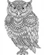 Placeholder: Owl, coloring page , full body (((((white background))))), only use an outline., real style, line art, white color, clean line art, white background, Sketch style