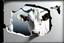 Placeholder: white,background,looking,through,a 3-d, broken,window,with,sharp,edges hole,watching,a,aubrey cow